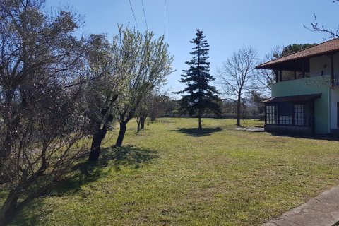 4 chambres House à Chalkidiki, Greece No. 57509 7