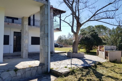 4 chambres House à Chalkidiki, Greece No. 57509 24