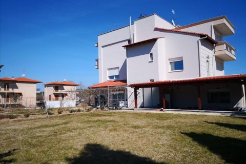 6 bedrooms Villa in Chortiatis, Greece No. 57527 5