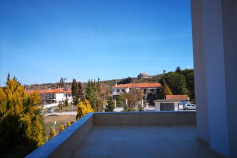 6 bedrooms Villa in Chortiatis, Greece No. 57527 10