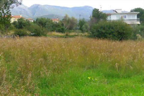 2465m² Land in Kalamata, Greece No. 60014 3