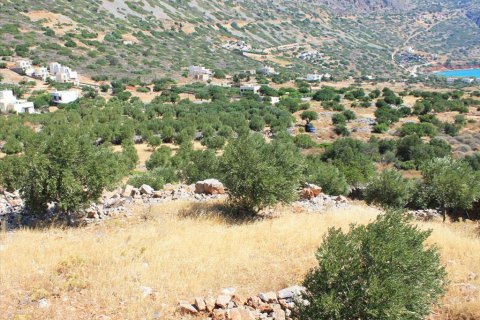 6500m² Land in Agios Nikolaos, Greece No. 60222 6