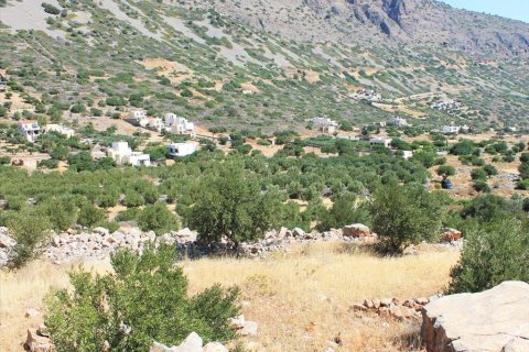 6500m² Land in Agios Nikolaos, Greece No. 60222 5