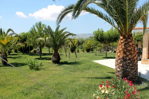 5 chambres House à Zakynthos, Greece No. 60221 3