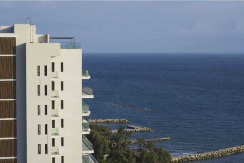 3 bedrooms Apartment in Limassol, Cyprus No. 33351 8