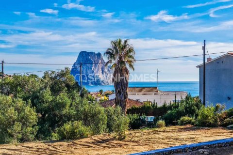 3 chambres Villa à Calpe, Spain No. 26345 30