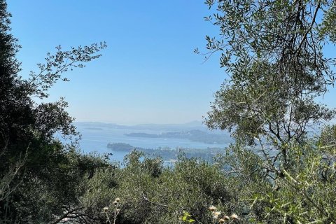 90000m² Land in Corfu, Greece No. 55968 1