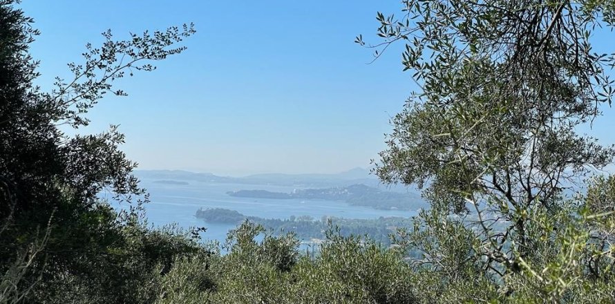 90000m² Land in Corfu, Greece No. 55968