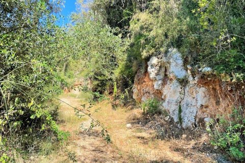 90000m² Land en Corfu, Greece No. 55968 14