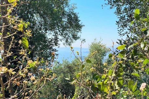 90000m² Land in Corfu, Greece No. 55968 12