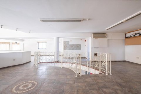 Коммерческая недвижимость 485м² в Никосия, Кипр №47585 11