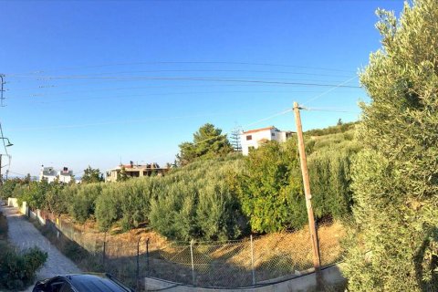 3200m² Land en Heraklion, Greece No. 54995 2