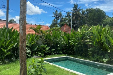 2 bedrooms Villa in Ubud, Indonesia No. 70952 26