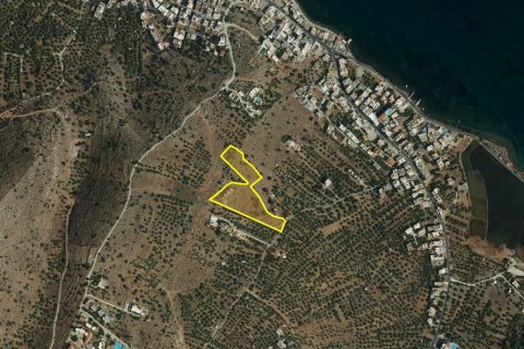 10397m² Land à Agios Nikolaos, Greece No. 55008 8