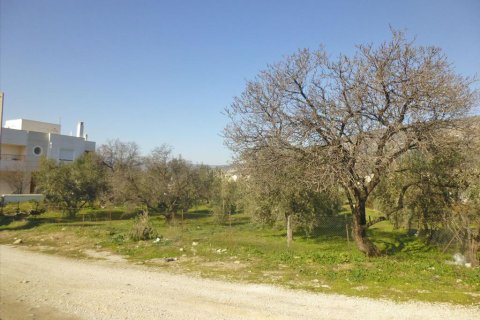 1300m² Land en Volos, Greece No. 59944 2