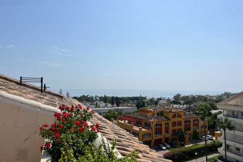 3 chambres Penthouse à Manchones Nagueles, Spain No. 27087 1