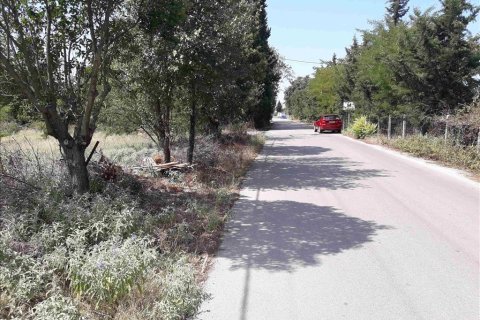 5908m² Land en Thermi, Greece No. 58523 6