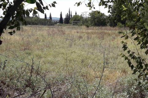 5908m² Land à Thermi, Greece No. 58523 1