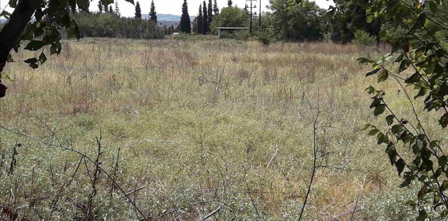 5908m² Land in Thermi, Greece No. 58523