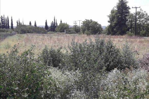 5908m² Land à Thermi, Greece No. 58523 2