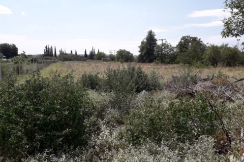 5908m² Land in Thermi, Greece No. 58523 3