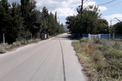 5908m² Land in Thermi, Greece No. 58523 5