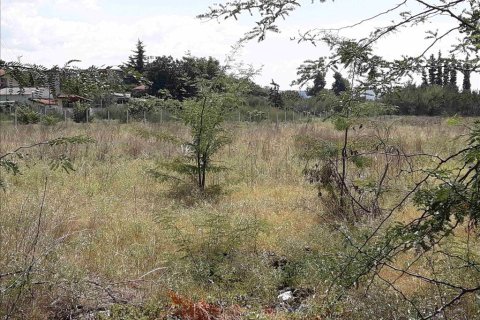 5908m² Land in Thermi, Greece No. 58523 4