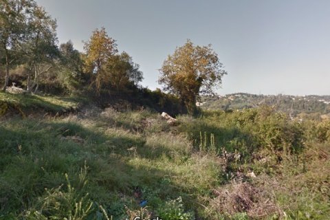 17600m² Land in Corfu, Greece No. 58525 1