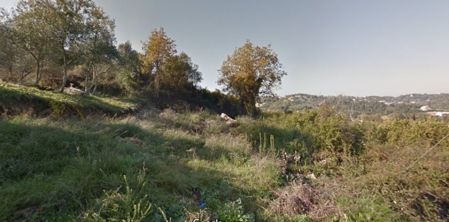 17600m² Land à Corfu, Greece No. 58525