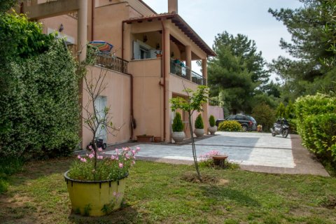 6 bedrooms Villa in Chalkidiki, Greece No. 58527 26