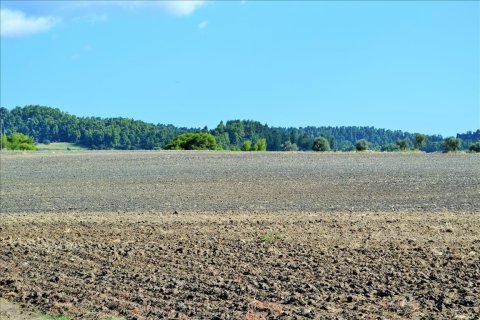 13000m² Land à Chalkidiki, Greece No. 58524 4