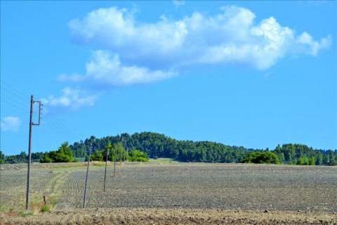 13000m² Land à Chalkidiki, Greece No. 58524 1