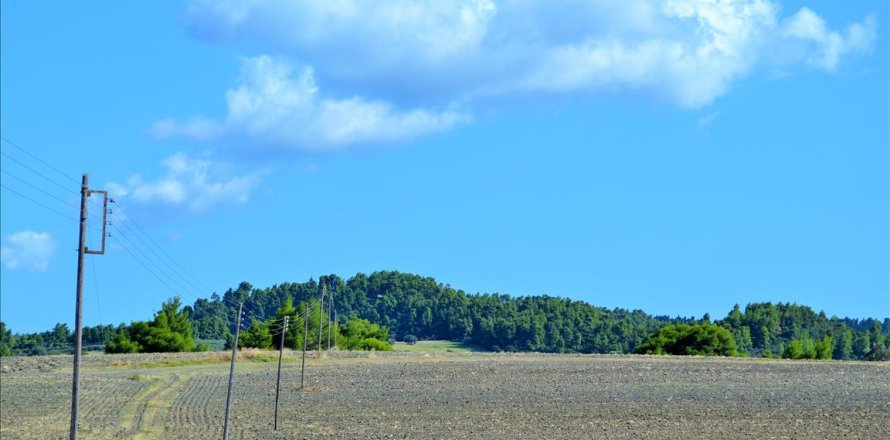 13000m² Land à Chalkidiki, Greece No. 58524