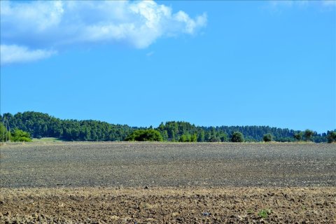 13000m² Land à Chalkidiki, Greece No. 58524 5