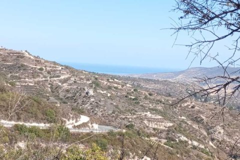 22400m² Land in Theletra, Cyprus No. 71725 3