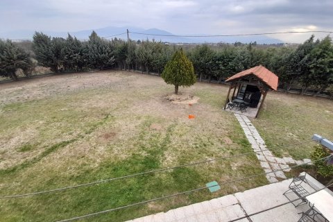 440m² House en Euboea, Greece No. 55628 16