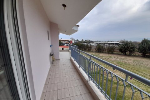 440m² House in Euboea, Greece No. 55628 15