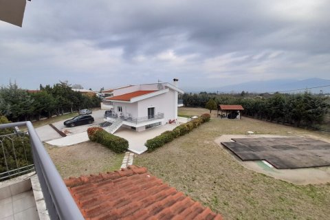 440m² House à Euboea, Greece No. 55628 10