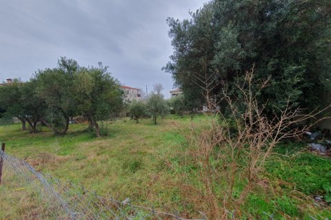 1000m² Land in Euboea, Greece No. 55627 4