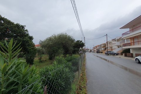 1000m² Land in Euboea, Greece No. 55627 1