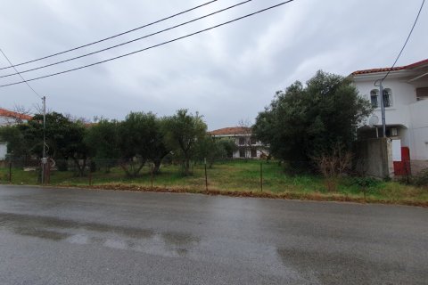 1000m² Land à Euboea, Greece No. 55627 3