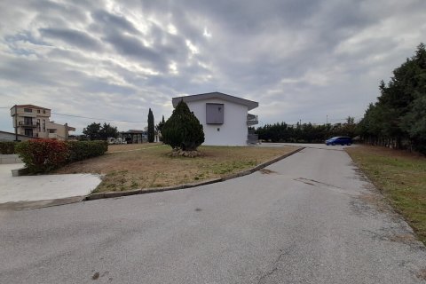 220m² House in Euboea, Greece No. 55629 23