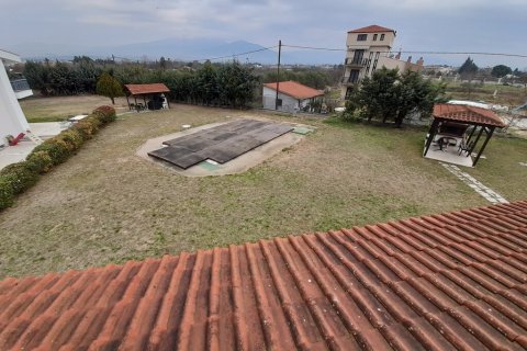 220m² House en Euboea, Greece No. 55629 20