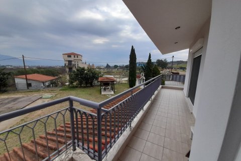 220m² House in Euboea, Greece No. 55629 18