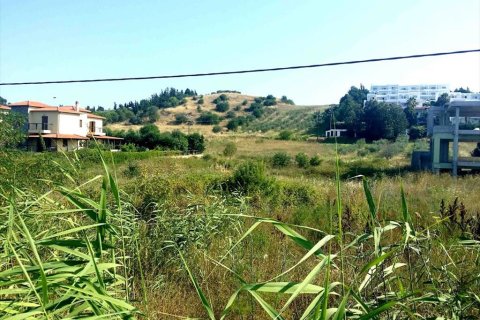 2500m² Land in Chalkidiki, Greece No. 59546 4