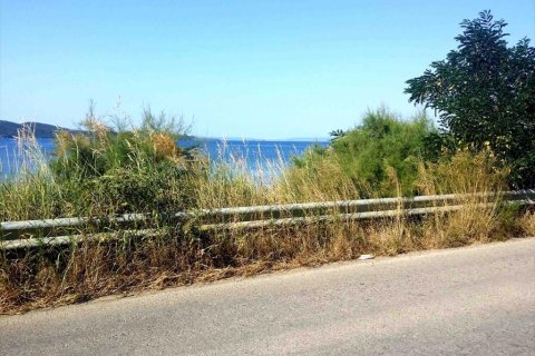 2500m² Land en Chalkidiki, Greece No. 59546 7