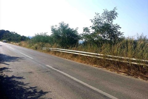 2500m² Land in Chalkidiki, Greece No. 59546 8