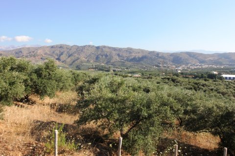 8100m² Land à Chania, Greece No. 59548 2