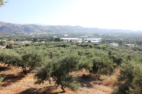 8100m² Land in Chania, Greece No. 59548 1