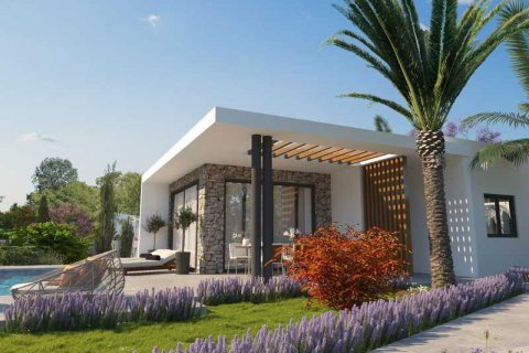 4 bedrooms Villa in Pegeia, Cyprus No. 39372 6